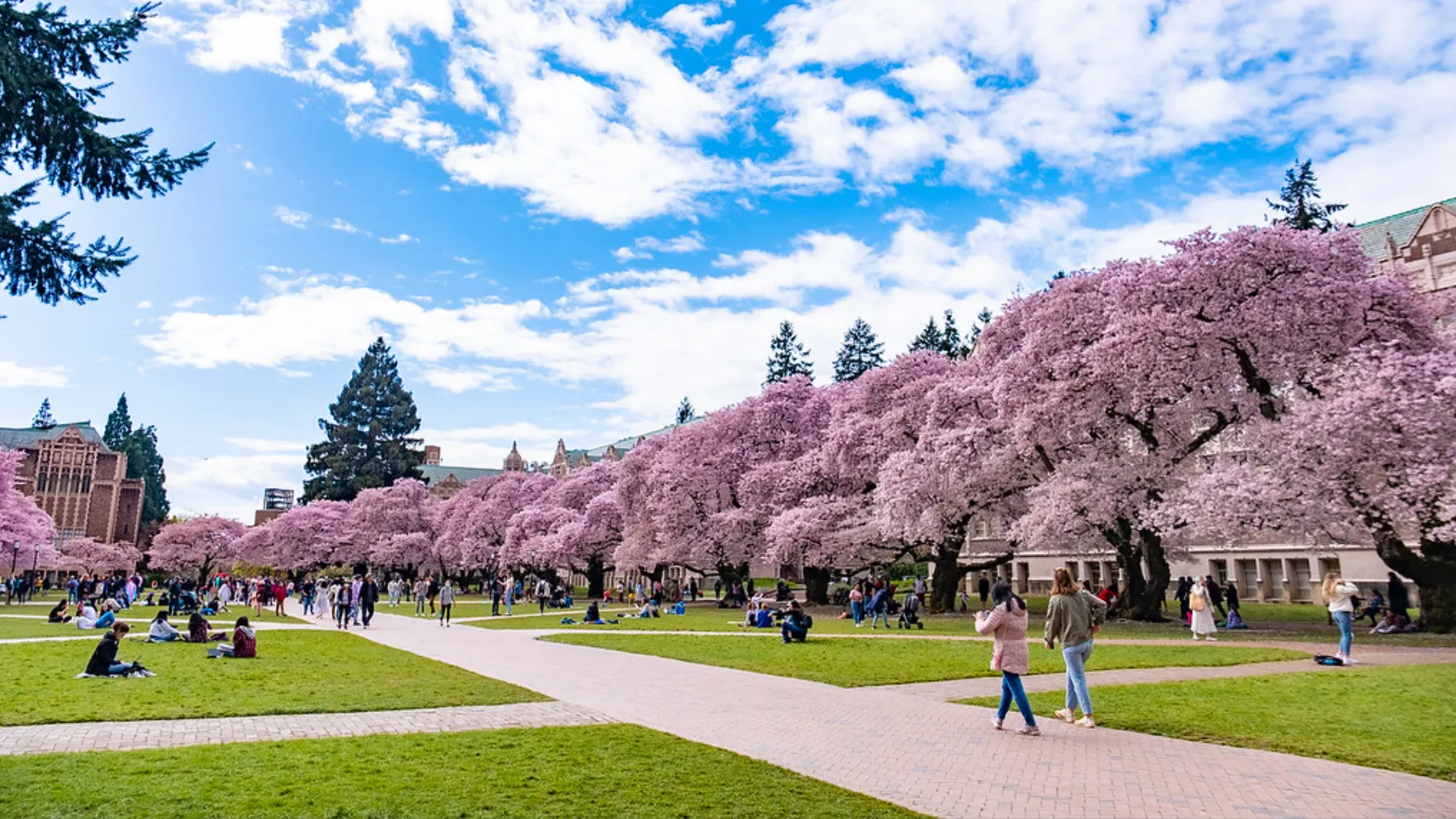 UW Admissions Profile