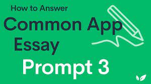 Common App Essay Prompt 3
