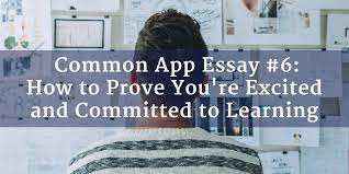 Common App Essay Prompt 6