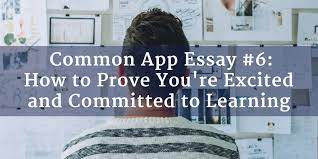 Common App Essay Prompt 6